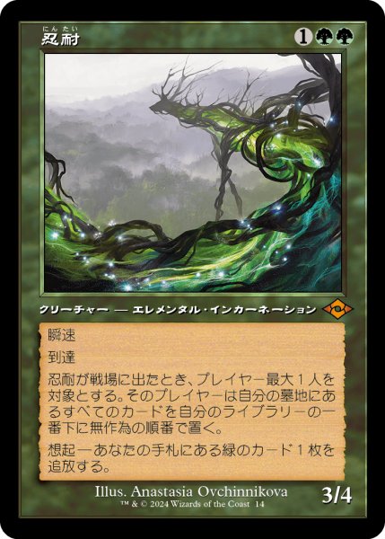画像1: 忍耐/Endurance (H2R) (1)