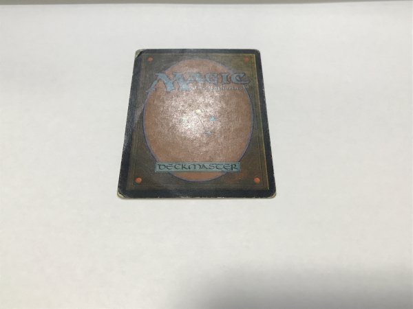 画像3: ガイアの揺籃の地/Gaea's Cradle (USG)【日本語版】【POOR】【カウントダウン】 (3)