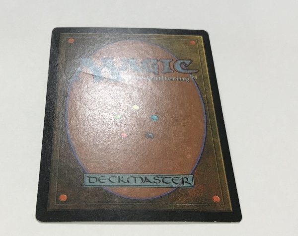 画像3: 平地/Plains (APAC Land 赤)【HPLD】 (3)