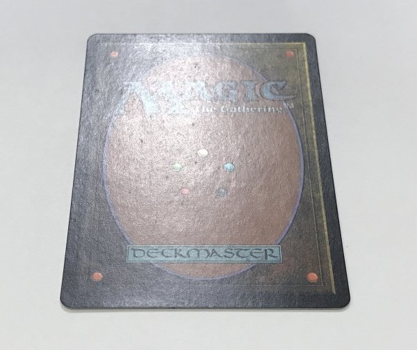 画像3: 平地/Plains (GURU Land)【サインド】 (3)