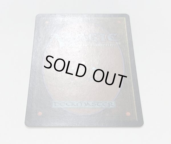 画像3: 平地/Plains (GURU Land)【サインド】 (3)