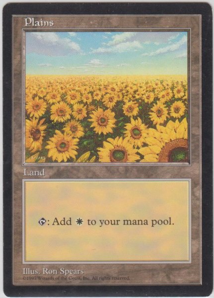 画像1: 平地/Plains (APAC Land 赤)【HPLD】 (1)