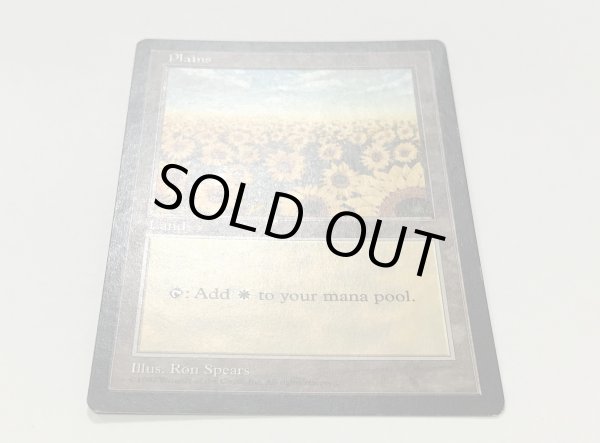 画像2: 平地/Plains (APAC Land 赤)【HPLD】 (2)