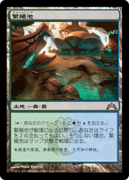 画像1: 繁殖池/Breeding Pool (GTC) (1)