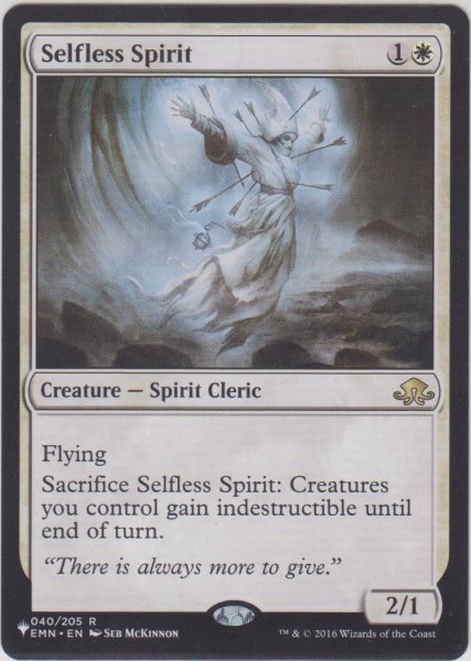 画像1: 無私の霊魂/Selfless Spirit (MB1・LST) (1)