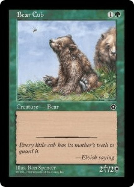 画像1: 仔熊/Bear Cub (MB1・LST) (1)