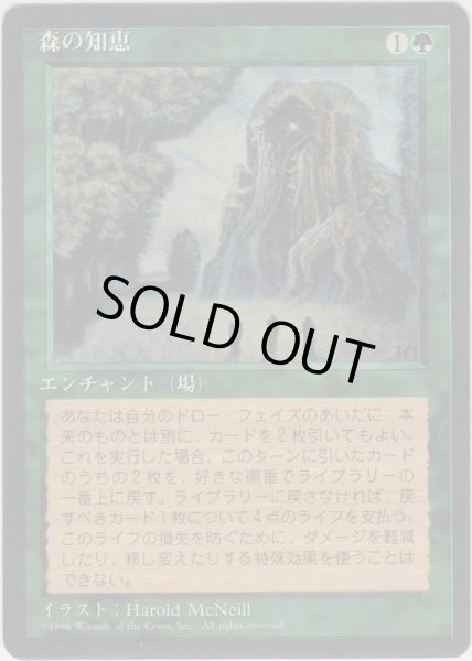 画像1: 森の知恵/Sylvan Library (4ED)【黒枠版】 (1)