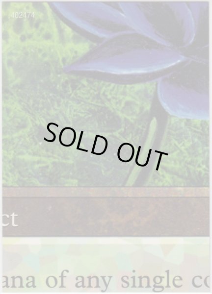 画像1: Black Lotus 【Ultra Pro Puzzle Cards・5/9】 (その他 プロモ) (1)