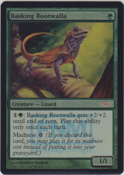 画像1: 日を浴びるルートワラ/Basking Rootwalla (FNM) (1)