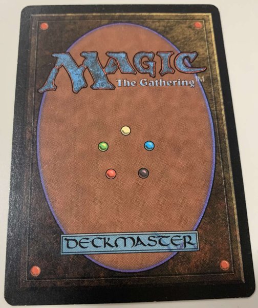 画像3: 2026年Black Lotus　BETA福袋【555万円】 (3)