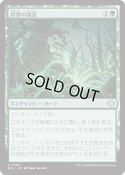 画像1: 煌野の成長/Shimmerwilds Growth (ECL) (1)