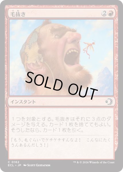 画像1: 毛抜き/Tweeze (ECL) (1)