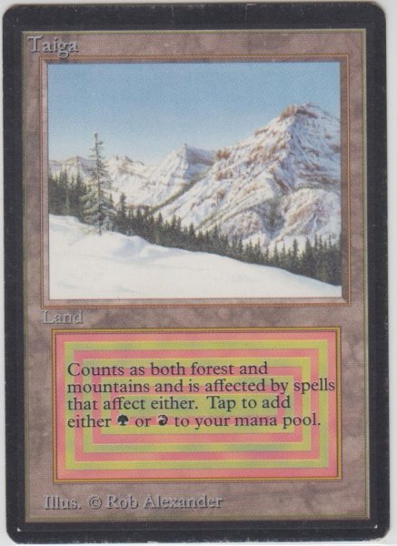 画像1: Taiga (LEB) 　【EX-】　B (1)