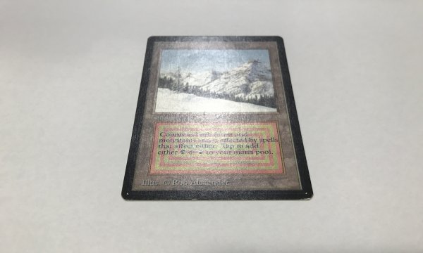 画像2: Taiga (LEB) 　【EX-】　B (2)