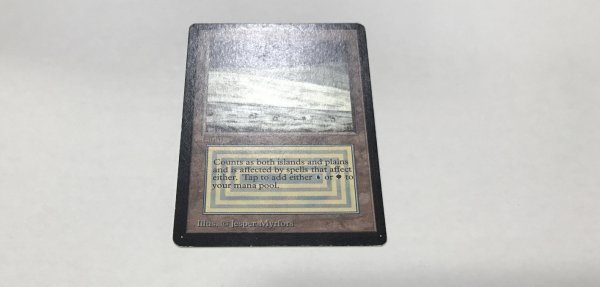 画像2: Tundra　 (LEB)   【EX-】　C　【☆高額トレジャー☆】 (2)