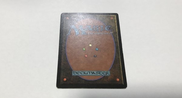 画像3: Tundra　 (LEB)   【EX-】　C　【☆高額トレジャー☆】 (3)