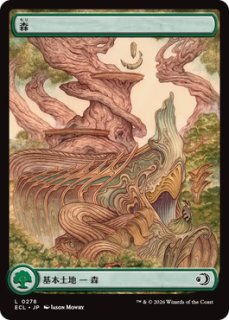 フルアート基本土地 - ジョニーのお店 Magic the Gathering