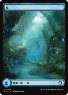 フルアート基本土地 - ジョニーのお店 Magic the Gathering