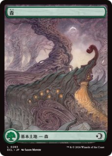 フルアート基本土地 - ジョニーのお店 Magic the Gathering