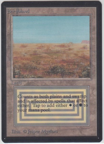 画像1: Scrubland 【NM〜NM-】 A (LEB)【☆高額トレジャー☆】 (1)