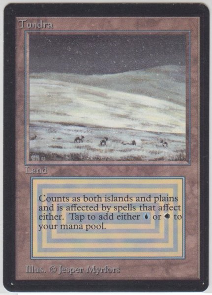 画像1: Tundra 【NM〜NM-】 A (LEB)【☆高額トレジャー☆】 (1)