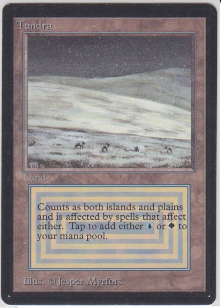 画像1: Tundra 【NM〜NM-】 B (LEB)【☆高額トレジャー☆】 (1)