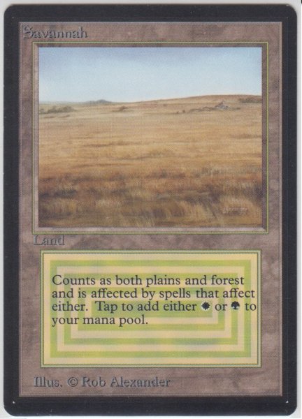 画像1: Savannah 【NM〜NM-】 A (LEB)【☆高額トレジャー☆】 (1)