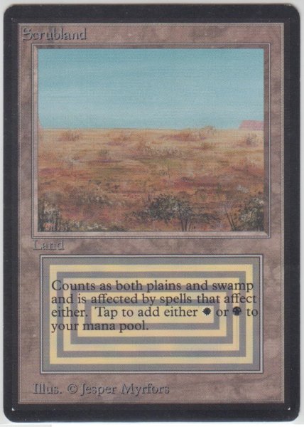 画像1: Scrubland 【HPLD】 D (LEB)【☆高額トレジャー☆】 (1)