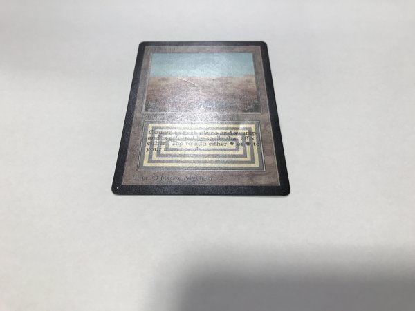 画像3: Scrubland 【HPLD】 D (LEB)【☆高額トレジャー☆】 (3)