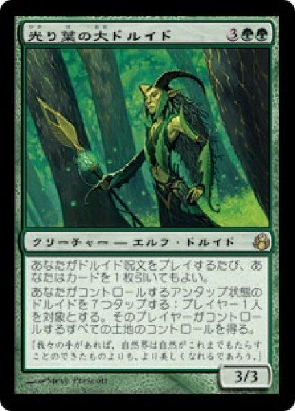 画像1: 光り葉の大ドルイド/Gilt-Leaf Archdruid (MOR)《Foil》 (1)