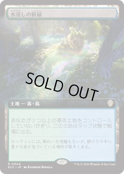 画像1: 水浸しの新緑/Sodden Verdure (ECC)【拡張アート版】 (1)