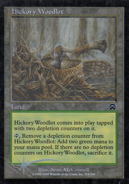 画像1: ヒッコリーの植林地/Hickory Woodlot (MMQ)《Foil》【HPLD】【ジョニーのおすすめ】 (1)