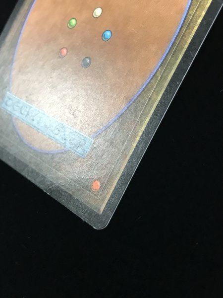 画像4: ヒッコリーの植林地/Hickory Woodlot (MMQ)《Foil》【HPLD】【ジョニーのおすすめ】 (4)