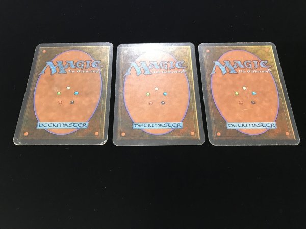 画像3: 森/Forest (LEA)【3枚セット】【きまぐれSALE】 (3)