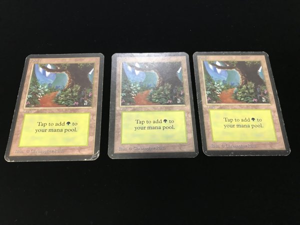 画像2: 森/Forest (LEA)【3枚セット】【きまぐれSALE】 (2)