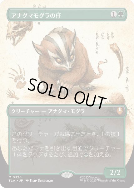 画像1: アナグマモグラの仔/Badgermole Cub (TLA)【特殊アート版】【きまぐれSALE】 (1)