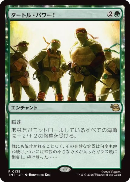 画像1: タートル・パワー！/Turtle Power! (TMT) (1)