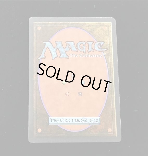 画像2: Tundra (3ED)【他言語特集】 (2)