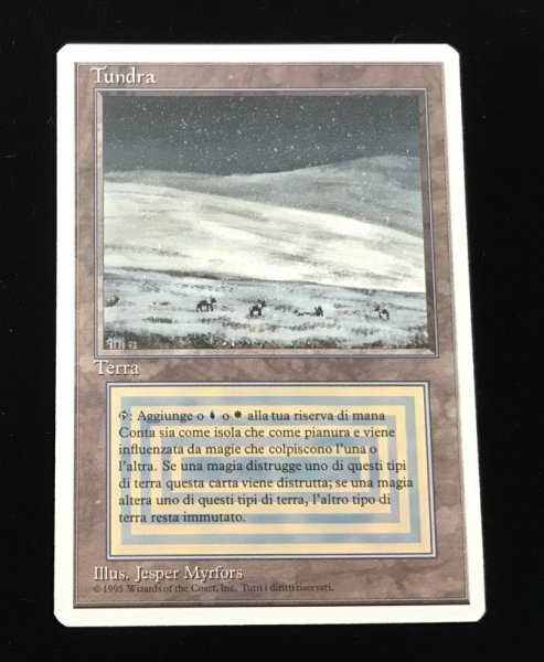 画像1: Tundra (3ED)【他言語特集】 (1)