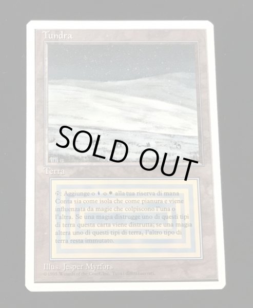 画像1: Tundra (3ED)【他言語特集】 (1)