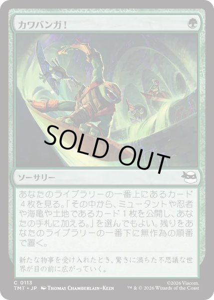 画像1: カワバンガ！/Cowabunga! (TMT) (1)