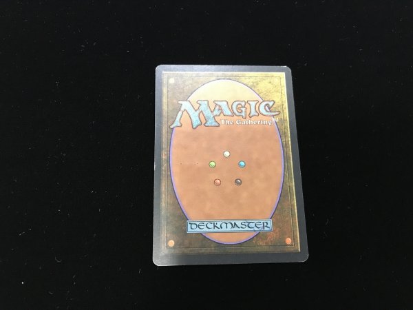 画像4: 肉占い/Sarcomancy 【HPLD】 (TMP)【ジョニーのおすすめ】 (4)