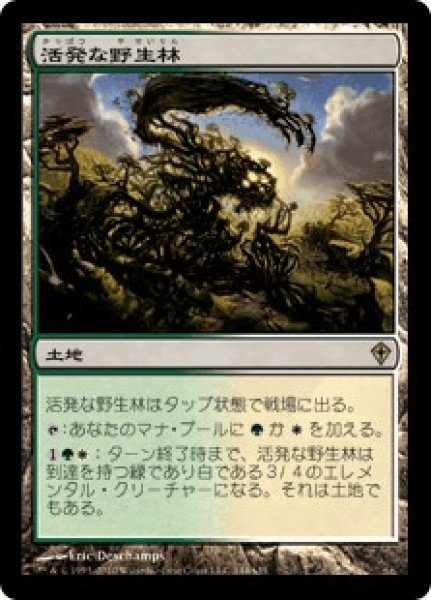 画像1: 活発な野生林/Stirring Wildwood (WWK) (1)