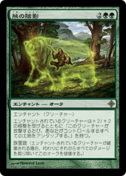 画像1: 熊の陰影/Bear Umbra (ROE) (1)