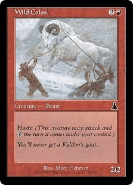 画像1: 野生のコロス/Wild Colos (UDS)《Foil》 (1)