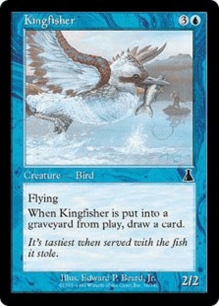 画像1: カワセミ/Kingfisher (UDS)《Foil》 (1)