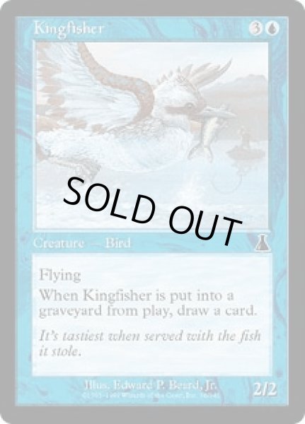 画像1: カワセミ/Kingfisher (UDS)《Foil》 (1)