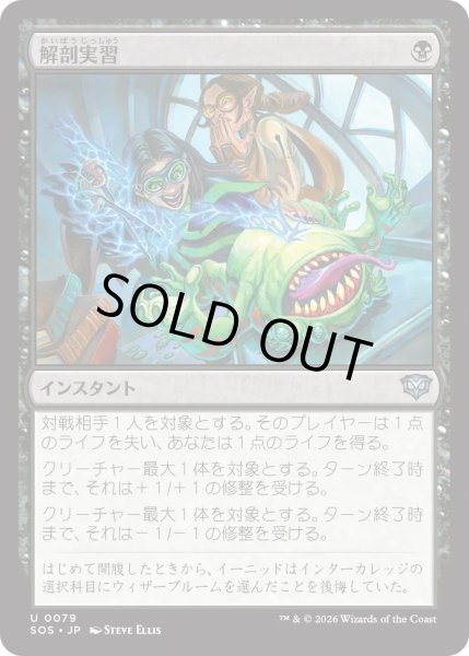 画像1: 解剖実習/Dissection Practice (SOS) (1)