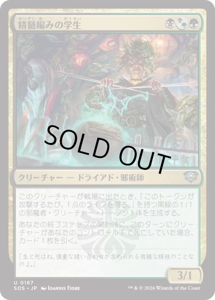 画像1: 精髄編みの学生/Essenceknit Scholar (SOS) (1)