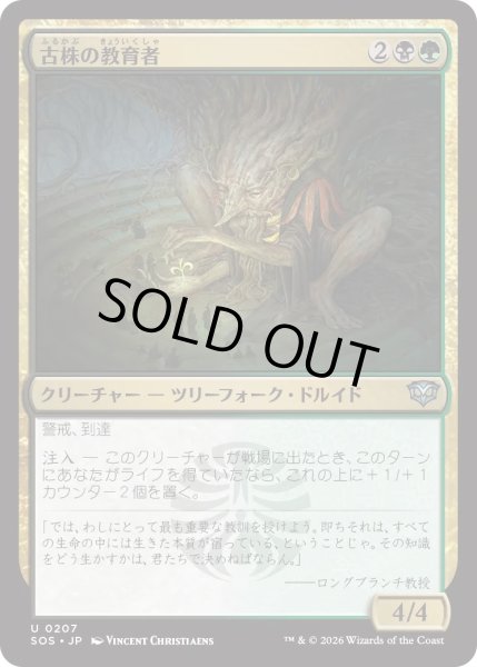 画像1: 古株の教育者/Old-Growth Educator (SOS) (1)